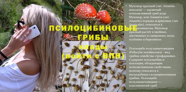 круглые Володарск