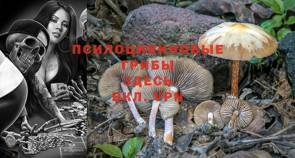 ECSTASY Волосово