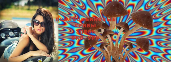 марки lsd Волоколамск