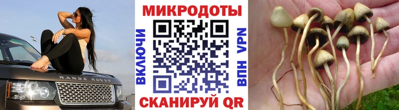 Псилоцибиновые грибы ЛСД  Купить где  Саров 